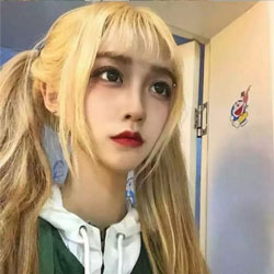 廉康文