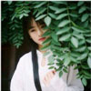 林錦逸