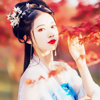 蒲又酆