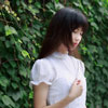 段書致