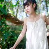 權(quán)則入