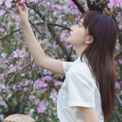 錢(qián)柏然
