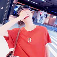 聶正元
