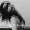 董浩雪