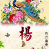 富秉宏
