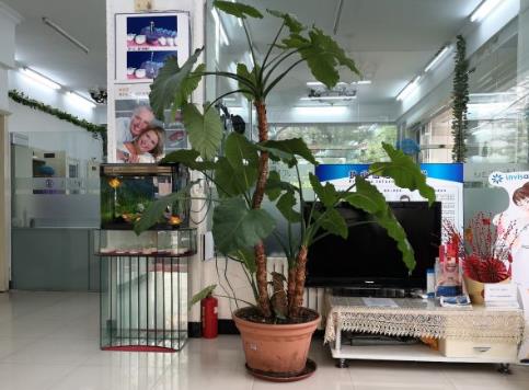 大連佳美口腔長興街店醫(yī)院環(huán)境