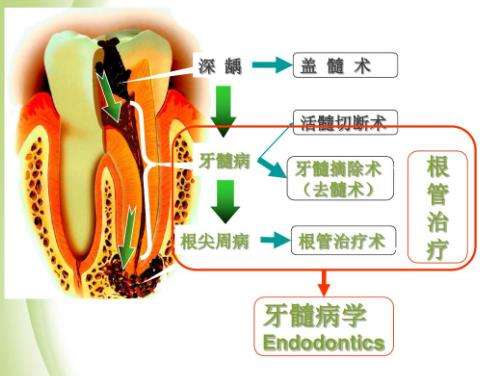 http://m.bstoo.cn/d/file/price/3kfdyq4idt98.jpg