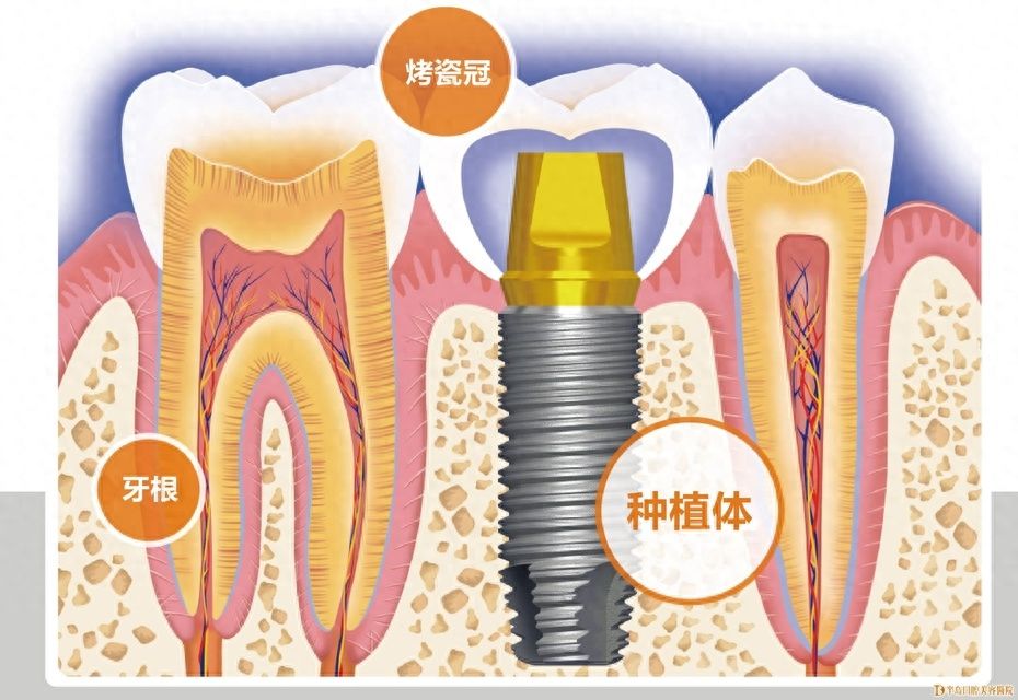 http://m.bstoo.cn/d/file/price/9k7tay0h1q02.jpg
