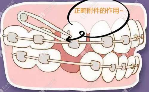 http://m.bstoo.cn/d/file/price/b1iy1mugt2id.jpg