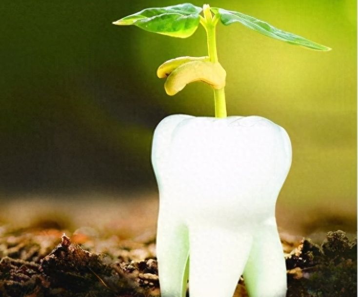聊城口腔種植牙價(jià)格參考【5000元起】