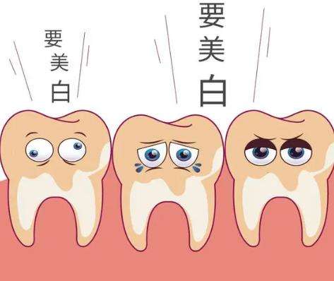 http://m.bstoo.cn/d/file/price/p62t3ub5bdhy.jpg