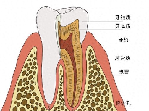 http://m.bstoo.cn/d/file/price/ru2rt189ub2h.jpg