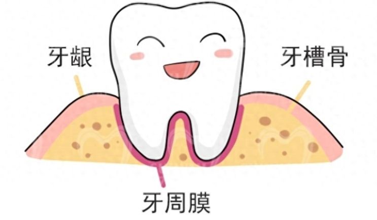 http://m.bstoo.cn/d/file/price/y5v50holl10k.jpg