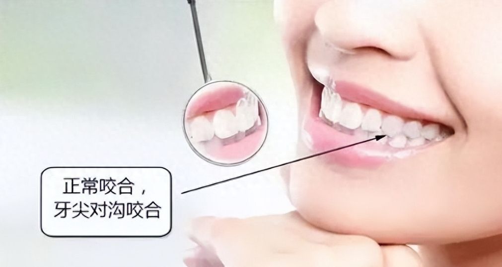 沈陽種植牙費(fèi)用指南：影響因素和詳細(xì)價(jià)格