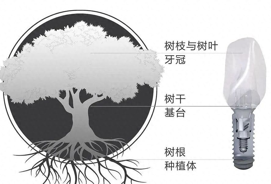 珠海人民醫(yī)院口腔科：專家團隊詳解治療方案
