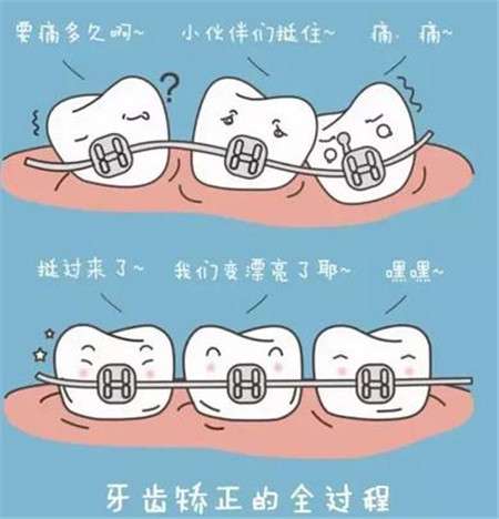 淮南口腔科醫(yī)生更新：專業(yè)服務及治療項目解析